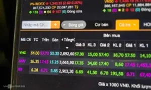 Cổ phiếu ngành cá tra ngược dòng thị trường