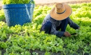 5 loại vi khuẩn nguy hiểm trong đất có thể lây cho người